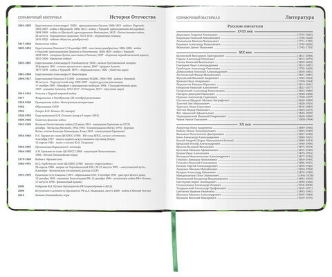 Дневник 1-11 класс 48 л., кожзам (твердая с поролоном), флуоресцентный, BRAUBERG, "ШРИФТ", 105983