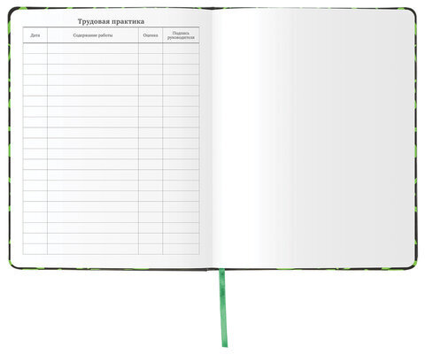 Дневник 1-11 класс 48 л., кожзам (твердая с поролоном), флуоресцентный, BRAUBERG, "ШРИФТ", 105983