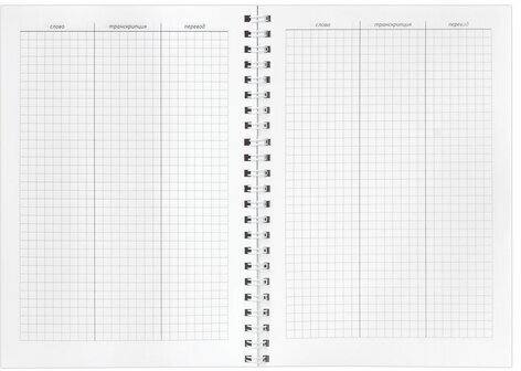 Тетрадь-словарь для записи иностранных слов А5 48 л., гребень, клетка, BRAUBERG, 403563