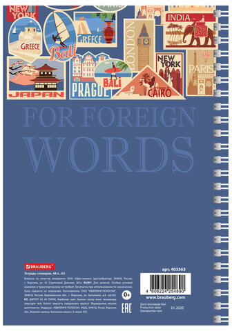 Тетрадь-словарь для записи иностранных слов А5 48 л., гребень, клетка, BRAUBERG, 403563
