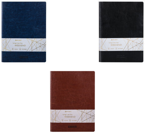 Тетради 48 л. в клетку обложка гладкий кожзам, НАБОР 3 шт., сшивка, А5 (147х210 мм), BRAUBERG VIVA, 403892