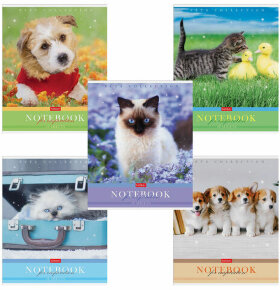 Тетрадь А5 48 л. HATBER скоба, клетка, обложка картон, &quot;Усы, лапы, хвост&quot; (5 видов в спайке), 48Т5В1