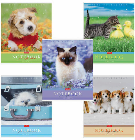 Тетрадь А5 48 л. HATBER скоба, клетка, обложка картон, "Усы, лапы, хвост" (5 видов в спайке), 48Т5В1