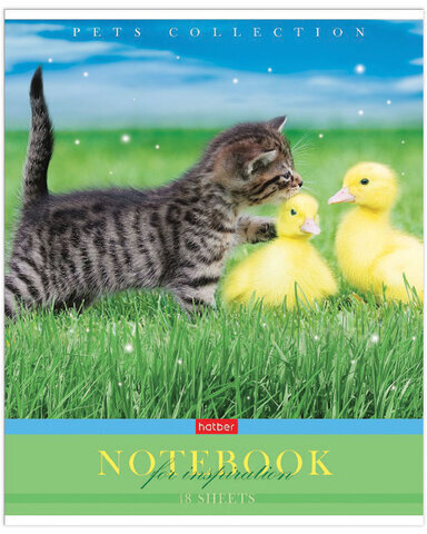 Тетрадь А5 48 л. HATBER скоба, клетка, обложка картон, "Усы, лапы, хвост" (5 видов в спайке), 48Т5В1