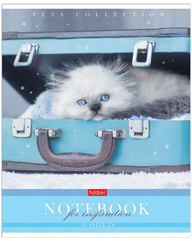 Тетрадь А5 48 л. HATBER скоба, клетка, обложка картон, "Усы, лапы, хвост" (5 видов в спайке), 48Т5В1