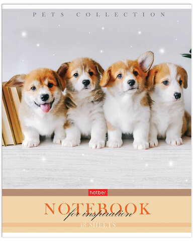 Тетрадь А5 48 л. HATBER скоба, клетка, обложка картон, "Усы, лапы, хвост" (5 видов в спайке), 48Т5В1