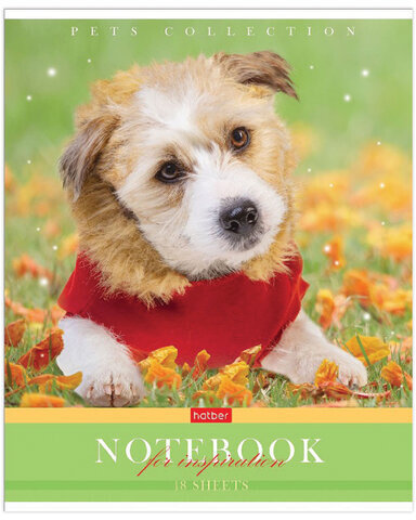 Тетрадь А5 48 л. HATBER скоба, клетка, обложка картон, "Усы, лапы, хвост" (5 видов в спайке), 48Т5В1