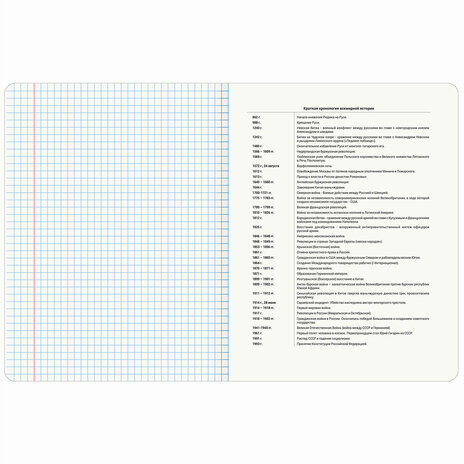 Тетрадь предметная "КОТ-ЭНТУЗИАСТ" 48 л., TWIN-лак, ИСТОРИЯ, клетка, подсказ, BRAUBERG, 404563