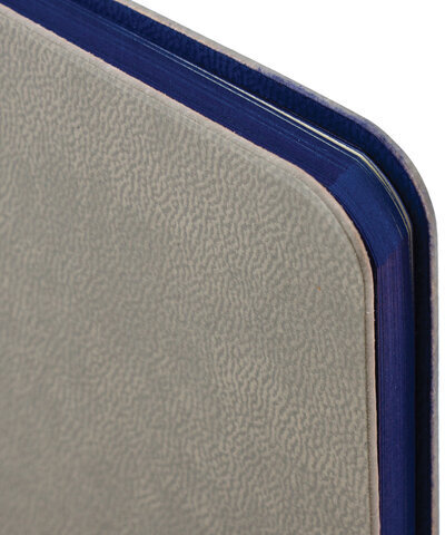 Дневник 1-11 класс 48 л., кожзам (гибкая), термотиснение, BRAUBERG "ORIGINAL", серый, 105966