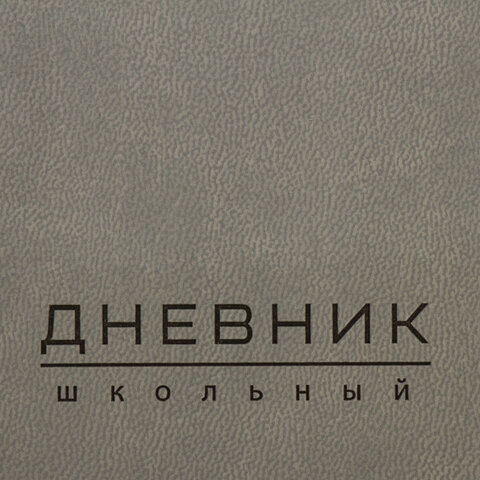 Дневник 1-11 класс 48 л., кожзам (гибкая), термотиснение, BRAUBERG "ORIGINAL", серый, 105966