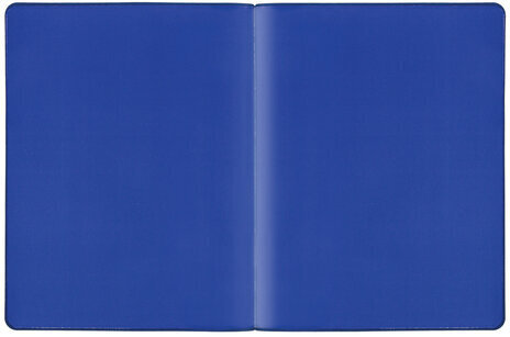 Дневник 1-11 класс 48 л., кожзам (гибкая), термотиснение, BRAUBERG "ORIGINAL", серый, 105966