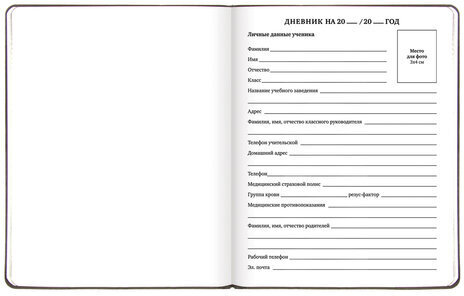 Дневник 1-11 класс 48 л., кожзам (гибкая), термотиснение, BRAUBERG "ORIGINAL", серый, 105966