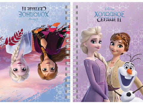 Блокнот МАЛЫЙ ФОРМАТ А6 (160х114 мм) 80 л., твердый, гребень, HATBER, Холодное сердце, Z341070, 80ЗКтд6В1гр2247