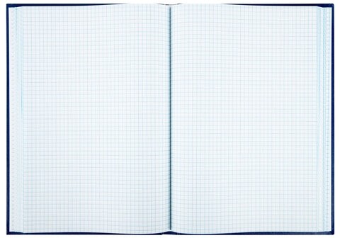 Книга учета 160 л., клетка, твердая, бумвинил, блок офсет, А4 (200х290 мм), BRAUBERG, 130182