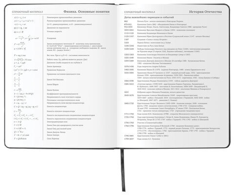 Дневник 1-11 класс 48л, кожзам (твердая), шелкография, BRAUBERG, "ЛЕВ ПОП-АРТ", 105991