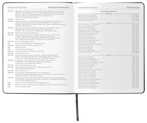 Дневник 1-11 класс 48л, кожзам (твердая), шелкография, BRAUBERG, "ЛЕВ ПОП-АРТ", 105991