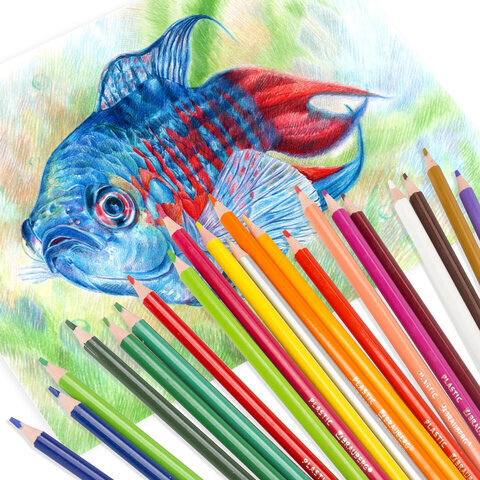 Карандаши цветные BRAUBERG PREMIUM, 24 цвета, трехгранные, грифель мягкий 3 мм, 181663