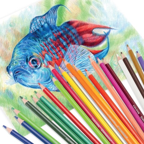 Карандаши цветные BRAUBERG PREMIUM, 24 цвета, трехгранные, грифель мягкий 3 мм, 181663