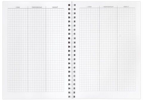Тетрадь-словарь для записи английских слов А5 48 л., гребень, клетка, BRAUBERG, справка, 403564