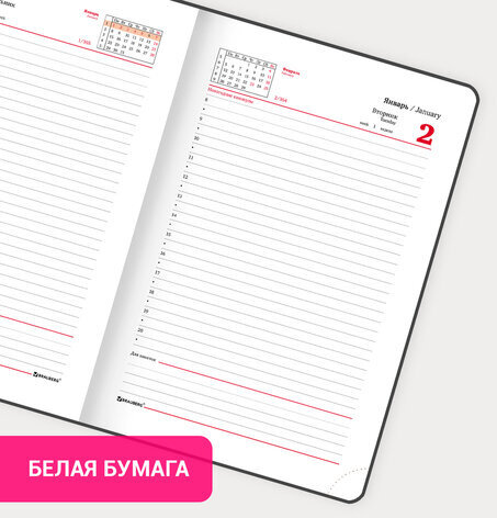 Ежедневник датированный 2024 А5 138x213 мм BRAUBERG "Select", балакрон, зеленый, 114878