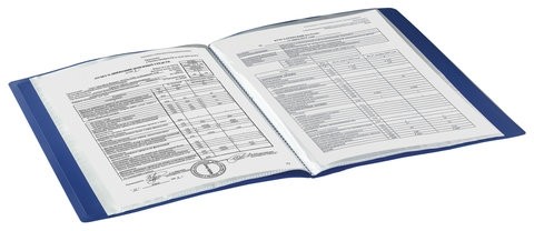 Папка 10 вкладышей BRAUBERG стандарт, синяя, 0,5 мм, 221591