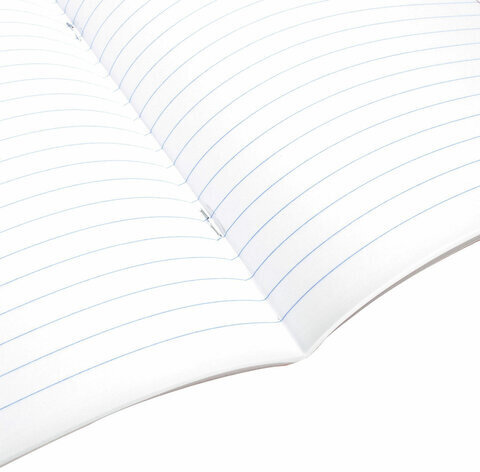 Тетрадь предметная "КОТ-ЭНТУЗИАСТ" 48 л., TWIN-лак, ЛИТЕРАТУРА, линия, подсказ, BRAUBERG, 404564