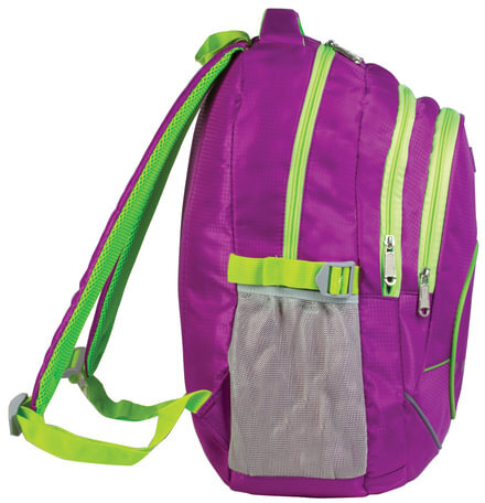 Рюкзак BRAUBERG для старших классов/студентов/молодежи, "Крокус", 30 литров, 46х34х18 см, 225521