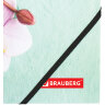 Папка на резинках BRAUBERG "FLOWER", А4, цветная печать, до 300 листов, 500 мкм, 228032