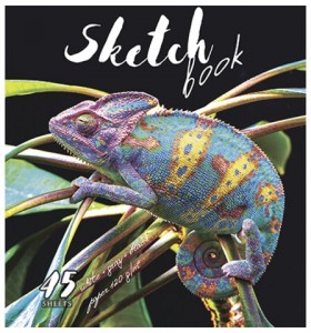 Скетчбук, белая, серая, черная бумага 120 г/м2, 170х195 мм, 45 л., скрепка, фольга, &quot;Хамелеон&quot;, 97729