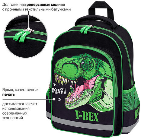 Рюкзак ПИФАГОР SCHOOL, 1 отделение, 3 кармана, "Dino roar", 38x28х14 см, 272080
