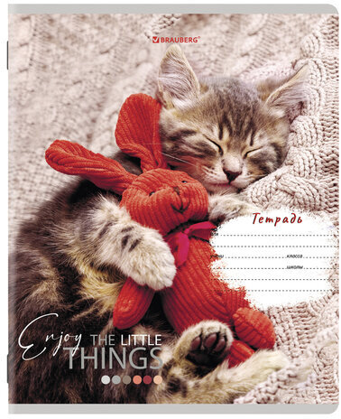 Тетради 12 л. КОМПЛЕКТ 10 шт. BRAUBERG, клетка, обложка картон, ПИТОМЦЫ, 106663