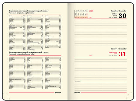 Ежедневник датированный 2024 А5 138x213 мм BRAUBERG "Goldy", под кожу, цветной срез, черный, 114979