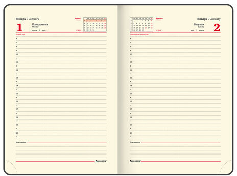 Ежедневник датированный 2024 А5 138x213 мм BRAUBERG "Goldy", под кожу, цветной срез, черный, 114979