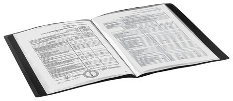 Папка 10 вкладышей BRAUBERG стандарт, черная, 0,5 мм, 221592