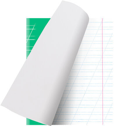 Тетрадь 12 л. BRAUBERG ЭКО "5-КА", косая линия, обложка плотная мелованная бумага, ЗЕЛЕНАЯ, 104762
