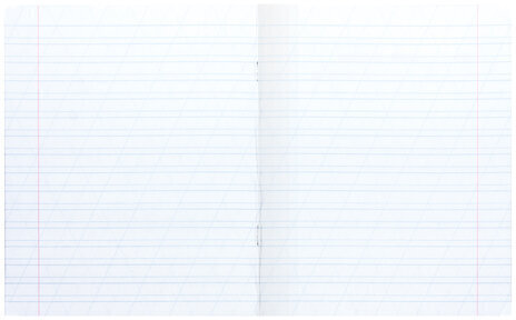 Тетрадь 12 л. BRAUBERG ЭКО "5-КА", косая линия, обложка плотная мелованная бумага, ЗЕЛЕНАЯ, 104762