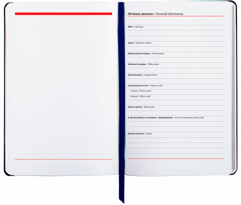 Ежедневник недатированный А5 (138х213 мм), BRAUBERG VISTA, под кожу, гибкий, 136 л., "SpaceX", 111994