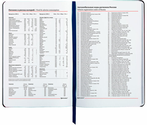 Ежедневник недатированный А5 (138х213 мм), BRAUBERG VISTA, под кожу, гибкий, 136 л., "SpaceX", 111994