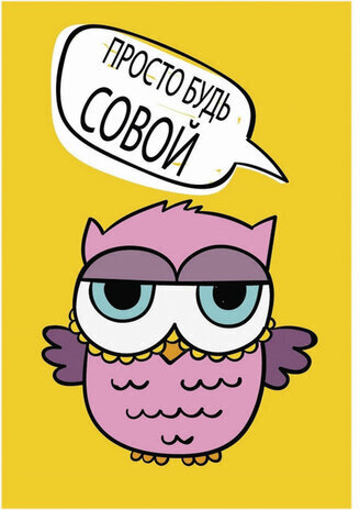 Блокнот с гелевой обложкой МАЛЫЙ ФОРМАТ (110х145 мм) А6, 56 л., скоба, клетка, CENTRUM, "Сова", 84277