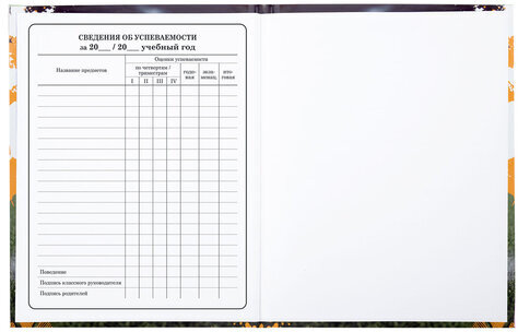 Дневник 1-4 класс 48 л., твердый, ЮНЛАНДИЯ, глянцевая ламинация, с подсказом, "Футбол", 106826