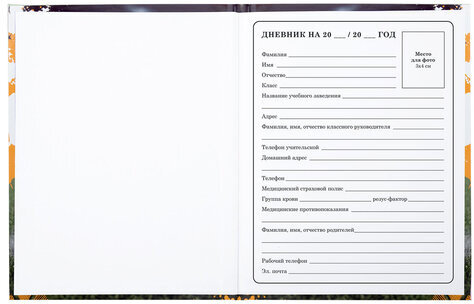 Дневник 1-4 класс 48 л., твердый, ЮНЛАНДИЯ, глянцевая ламинация, с подсказом, "Футбол", 106826