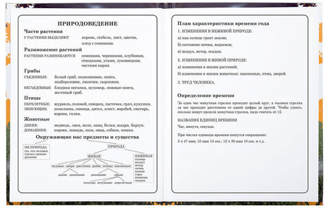 Дневник 1-4 класс 48 л., твердый, ЮНЛАНДИЯ, глянцевая ламинация, с подсказом, "Футбол", 106826
