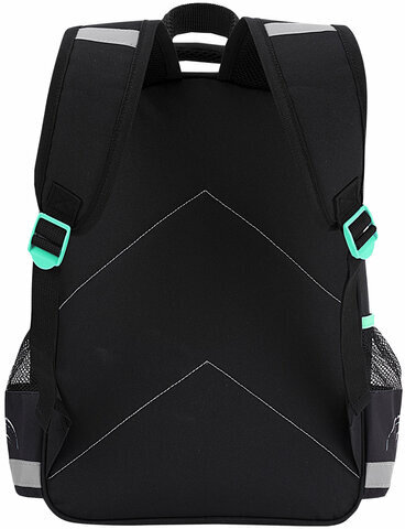 Рюкзак ПИФАГОР SCHOOL, 1 отделение, 3 кармана, "White tiger", 38x28х14 см, 272081