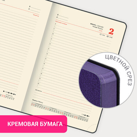 Ежедневник датированный 2025, А5, 138x213 мм, BRAUBERG "Stylish", под кожу гибкий, фиолетовый, 115823
