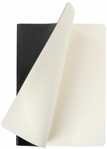 Тетрадь 48 л. в линию обложка гладкий кожзам, сшивка, A5 (147х210мм), ЧЕРНЫЙ, BRAUBERG VIVA, 403895