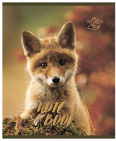 Тетрадь А5, 48 л., ПЗБМ, скоба, клетка, конгрев, глянцевый лак, "Хитрый лис" (5 видов), 028061