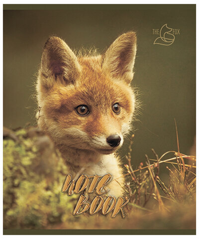 Тетрадь А5, 48 л., ПЗБМ, скоба, клетка, конгрев, глянцевый лак, "Хитрый лис" (5 видов), 028061