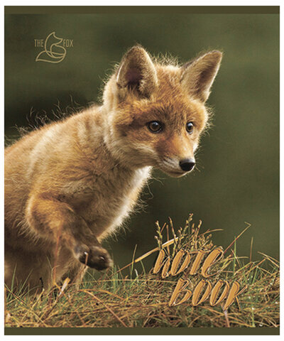 Тетрадь А5, 48 л., ПЗБМ, скоба, клетка, конгрев, глянцевый лак, "Хитрый лис" (5 видов), 028061