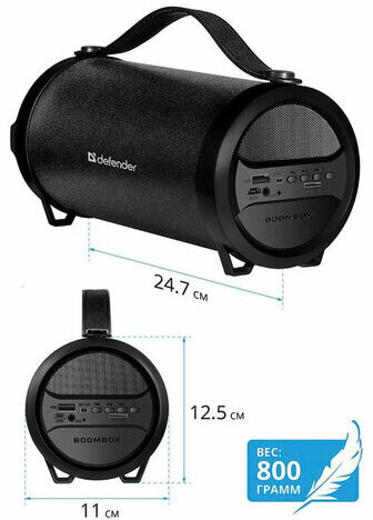 Колонка портативная DEFENDER G24, 1.0, 10 Вт, Bluetooth, FM-тюнер, microSD, чёрная, 65124