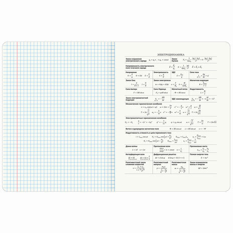 Тетрадь предметная "КОТ-ЭНТУЗИАСТ" 48 л., TWIN-лак, ФИЗИКА, клетка, подсказ, BRAUBERG, 404566